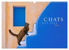 Chats des îles (Calendrier mural 2025 DIN A3 vertical), CALVENDO calendrier mensuel - Krutz, Christina