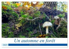 Un automne en forêt (Calendrier mural 2025 DIN A4 vertical), CALVENDO calendrier mensuel