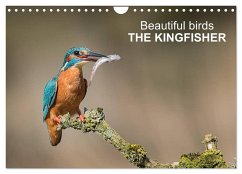 Beautiful birds THE KINGFISHER (Wall Calendar 2025 DIN A4 landscape), CALVENDO 12 Month Wall Calendar