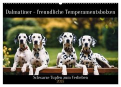 Dalmatiner - freundliche Temperamentsbolzen (Wandkalender 2025 DIN A2 quer), CALVENDO Monatskalender
