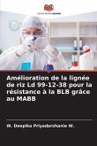 Amélioration de la lignée de riz Ld 99-12-38 pour la résistance à la BLB grâce au MABB