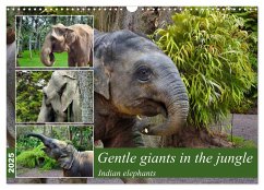Gentle giants in the jungle (Wall Calendar 2025 DIN A3 landscape), CALVENDO 12 Month Wall Calendar