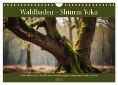 Waldbaden - Shinrin Yoku (Wandkalender 2025 DIN A4 quer), CALVENDO Monatskalender