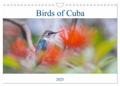 Birds of Cuba Island (Wall Calendar 2025 DIN A4 landscape), CALVENDO 12 Month Wall Calendar