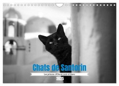 Chats de Santorin - Les princes d'Oia en noir et blanc (Calendrier mural 2025 DIN A4 vertical), CALVENDO calendrier mensuel