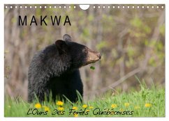 MAKWA L'Ours Des Forêts Québécoises (Calendrier mural 2025 DIN A4 vertical), CALVENDO calendrier mensuel - Calvendo;Henry, Philippe