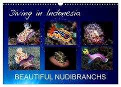 Diving in Indonesia - BEAUTIFUL NUDIBRANCHS (Wall Calendar 2025 DIN A3 landscape), CALVENDO 12 Month Wall Calendar