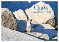 Chats - rencontres en route (Calendrier mural 2025 DIN A3 vertical), CALVENDO calendrier mensuel