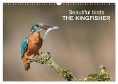 Beautiful birds THE KINGFISHER (Wall Calendar 2025 DIN A3 landscape), CALVENDO 12 Month Wall Calendar