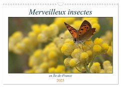 Merveilleux insectes en Île-de-France (Calendrier mural 2025 DIN A3 vertical), CALVENDO calendrier mensuel