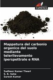 Mappatura del carbonio organico del suolo mediante telerilevamento iperspettrale e RNA