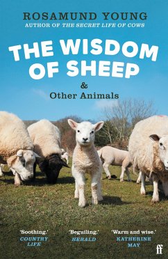 The Wisdom of Sheep & Other Animals - Young, Rosamund