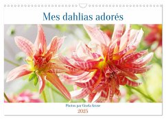 Mes dahlias adorés (Calendrier mural 2025 DIN A3 vertical), CALVENDO calendrier mensuel