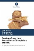 Bekämpfung des Reiskäfers (Sitophilus oryzae)