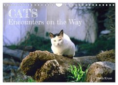 Cats - Encounters on the Way (Wall Calendar 2025 DIN A4 landscape), CALVENDO 12 Month Wall Calendar - Kruse, Gisela