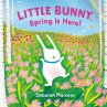 Little Bunny, Spring Is Here! - Bild 1