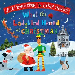 What the Ladybird Heard at Christmas - Donaldson, Julia