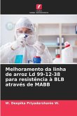 Melhoramento da linha de arroz Ld 99-12-38 para resistência à BLB através de MABB