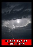 In the eye of the Storm (contos, #1) (eBook, ePUB) In the eye of the Storm (contos, #1) (eBook, ePUB)