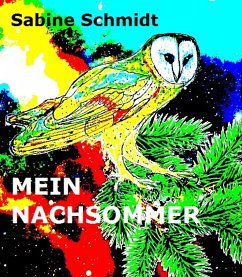 Mein Nachsommer (eBook, ePUB) - Schmidt, Sabine