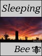 Sleeping Bee (eBook, ePUB) - Bild 1