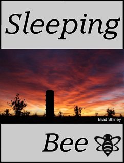 Cover Sleeping Bee (eBook, ePUB)