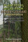 Plant Fossil Atlas From (Pennsylvanian) Carboniferous Age Found in Central Appalachian Coalfields Volume 1 (eBook, ePUB)