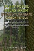 Plant Fossil Atlas From (Pennsylvanian) Carboniferous Age Found in Central Appalachian Coalfields Volume 1 (eBook, ePUB) Plant Fossil Atlas From (Pennsylvanian) Carboniferous Age Found in Central Appalachian Coalfields Volume 1 (eBook, ePUB)