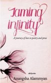 Taming Infinity (eBook, ePUB)