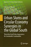 Urban Slums and Circular Economy Synergies in the Global South (eBook, PDF)