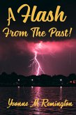 A Flash from the Past (eBook, ePUB)