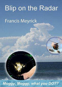Blip on the Radar (eBook, ePUB) - Meyrick, Francis