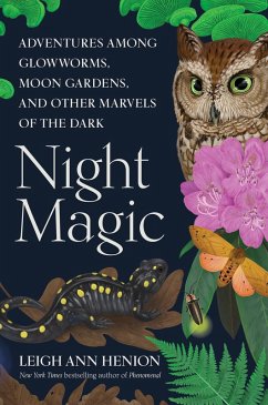 Night Magic (eBook, ePUB) - Henion, Leigh Ann