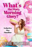 What's the Story, Morning Glory? (Seductive Sins Collection, #5) (eBook, ePUB)