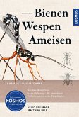 Bienen, Wespen, Ameisen (eBook, PDF)