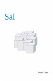 Sal (eBook, ePUB)