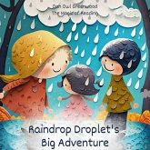 Raindrop Droplet's Big Adventure (The Magic of Reading) (eBook, ePUB)