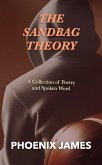 The Sandbag Theory (eBook, ePUB)