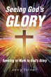 Seeing God's Glory (eBook, ePUB) - Bild 1