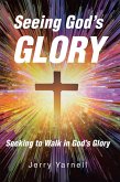 Seeing God's Glory (eBook, ePUB)