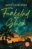 Funkelnd wie Glück (eBook, ePUB)