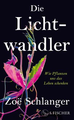 Cover Die Lichtwandler (eBook, ePUB)