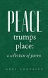 Peace Trumps Place - Bild 1