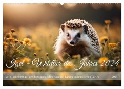 Igel - Wildtier des Jahres 2024 (Wandkalender 2025 DIN A2 quer), CALVENDO Monatskalender