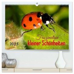 Faszination kleiner Schönheiten (hochwertiger Premium Wandkalender 2025 DIN A2 quer), Kunstdruck in Hochglanz