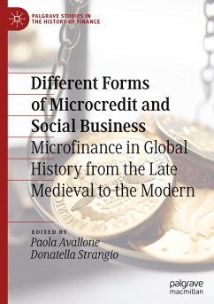 Cover Different Forms of Microcredit and Social Business