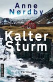 Kalter Sturm (eBook, ePUB)