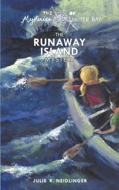 The Runaway Island Mystery - Neidlinger, Julie R