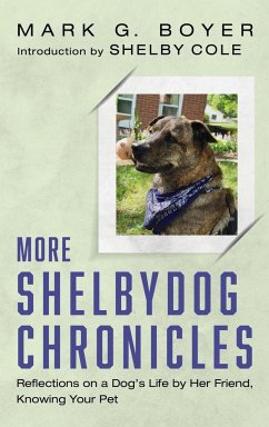 More Shelbydog Chronicles