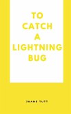 To Catch A Lightning Bug